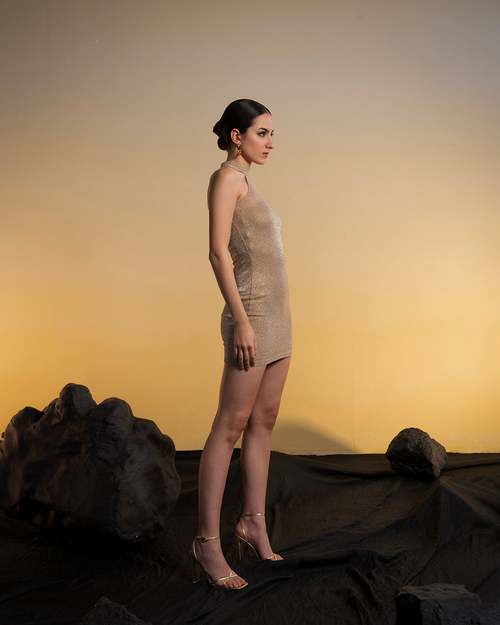 Shimmer Mini Dress With Contouring Tube